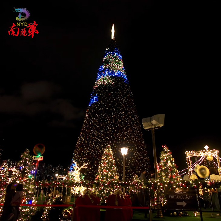 40 ft Christmas Tree